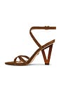 view 5 of 5 Lanaya Sandal in Chestnut & Brown