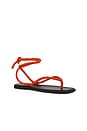 view 2 of 5 Carmina Cord Sandal in Flame Red