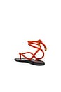 view 3 of 5 Carmina Cord Sandal in Flame Red