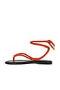 view 5 of 5 Carmina Cord Sandal in Flame Red
