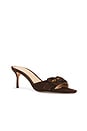view 2 of 5 SANDALIA TIA BUCKLE in Espresso