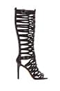 view 1 of 5 Omera Gladiator Heel in Black