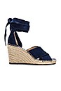view 1 of 5 Leddy Wedge in Midnight Suede