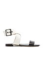 view 1 of 5 Maren Sandal in New Ivory & Black