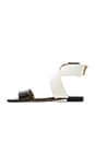 view 5 of 5 Maren Sandal in New Ivory & Black