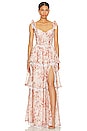 view 1 of 3 VESTIDO LARGO JOLIE in Cedar Rose Print