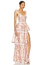 view 2 of 3 VESTIDO LARGO JOLIE in Cedar Rose Print