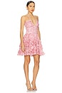 view 2 of 4 Sophie Dress in Pink Peony Print