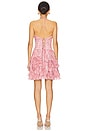 view 3 of 4 Sophie Dress in Pink Peony Print