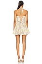 view 3 of 3 Elena Mini Dress in Cordoba Print