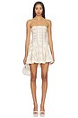 view 1 of 5 Ellerie Mini Dress in Vintage Victorian Stripe