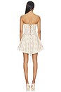 view 3 of 5 Ellerie Mini Dress in Vintage Victorian Stripe