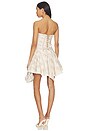 view 4 of 5 Ellerie Mini Dress in Vintage Victorian Stripe