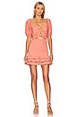 view 1 of 3 Valerie Mini Dress in Coral Apple