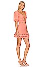 view 2 of 3 Valerie Mini Dress in Coral Apple