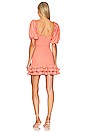 view 3 of 3 Valerie Mini Dress in Coral Apple