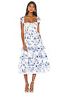 view 1 of 4 Maribelle Dress in French Blue Floral
