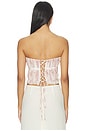 view 3 of 5 BUSTIER SADIE in Strawberry Victorian Stripe