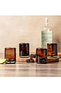 view 7 of 7 Set Of 4 Tamarind Shot Glasses in Brown