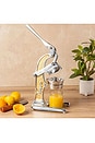 view 4 of 7 Small Citrus Juicer in Gold