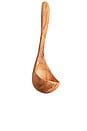 view 1 of 6 CONCHA OLIVEWOOD LADLE in Brown
