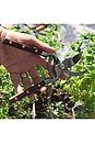 view 5 of 7 Thai Kitchen & Garden Shears in Brown & Silver