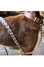 view 5 of 6 Moroccan Kilim Dog Collar & Leash in Small