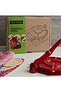 view 10 of 12 Mexican Tortilla Press Kit With Servilleta in 