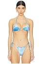 view 1 of 5 Blair Reversible Bikini Top in Aster
