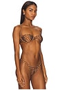 view 3 of 5 Polly Reversible Bikini Top in Polka Dot