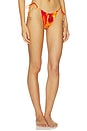 view 3 of 5 Marley Sunburst Reversible Bottom in Sunburst