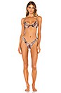 view 4 of 4 Stevie Bikini Bottom in Leopard