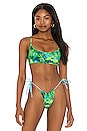 view 1 of 4 Sienna Bikini Top in Tropical