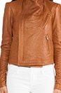 view 5 of 5 Max Classic Jacket in Tan