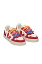 view 2 of 3 SNEAKERS SMALL V-10 in Pure Pekin Pepper