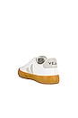 view 3 of 6 ZAPATILLA DEPORTIVA CAMPO in Extra White, Natural, & Natural