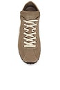 view 5 of 6 Cateyes Sneaker in Taupe & Pierre