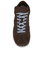 view 5 of 7 Cateyes Sneaker in Eagle & Cashew