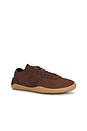 view 2 of 6 x Baserange Jitsu Sneaker in Walnut & Eagle