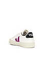 view 3 of 6 SNEAKERS CAMPO in Extra White & Ultraviolet & Black