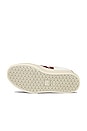 view 6 of 6 Campo Sneaker in Extra White & Rouille
