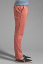 view 3 of 6 Classic Chino In Salmon in Salmon