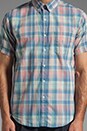 view 4 of 5 Classic Short Sleeved Shirt in Pastel Check