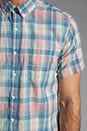 view 5 of 5 Classic Short Sleeved Shirt in Pastel Check