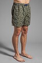 view 2 of 7 Drawcord Boardshort in Camo