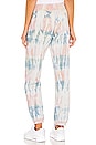 view 3 of 4 Hallie Pant in Sunrise