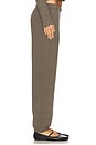 view 3 of 6 Lexie Pant in Caper