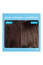 view 9 of 10 Glossy Shampoo 32oz in 