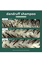 view 5 of 8 Dandruff Shampoo 8oz in 