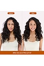view 7 of 10 Curl Oil in 